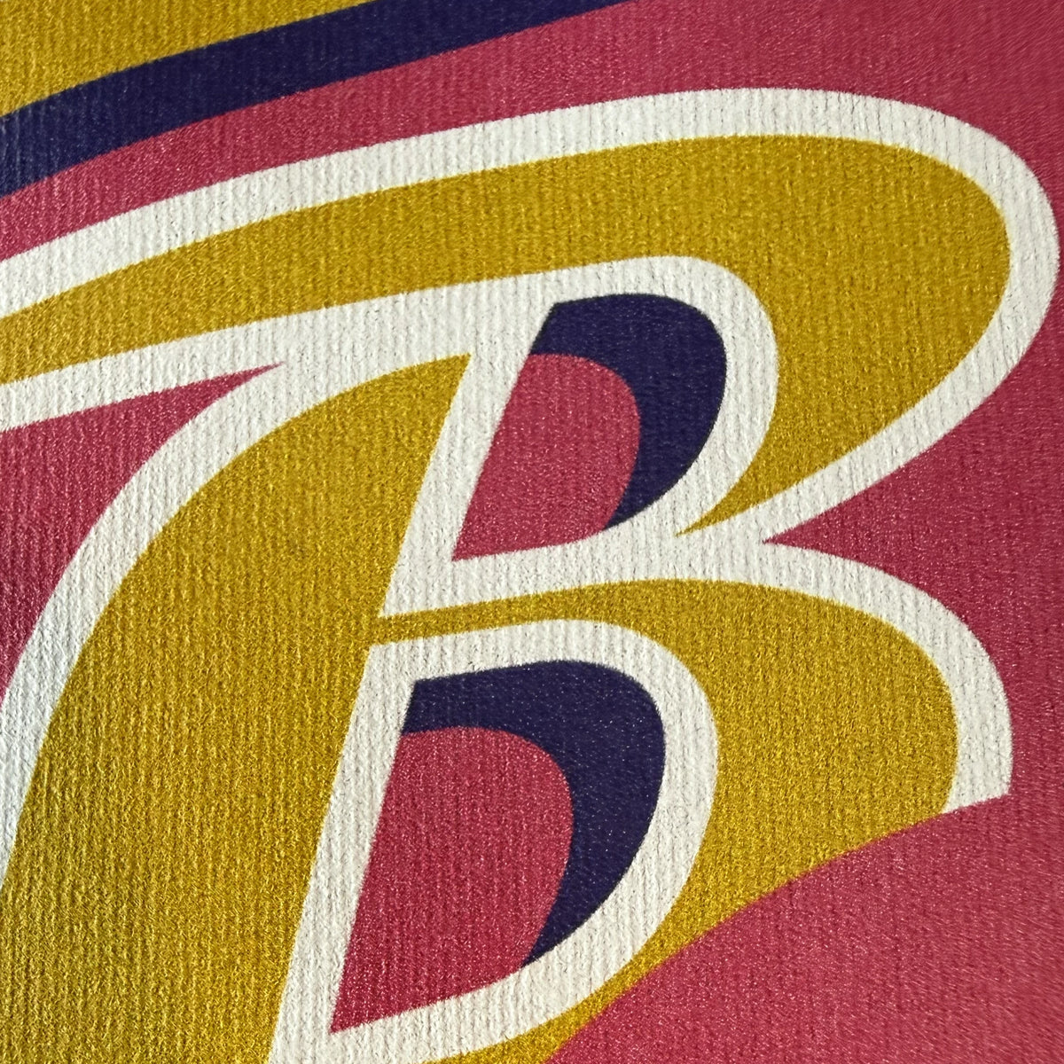 Pink Flamingo Raven Shirt | Funny Baltimore Football Fan Graphic Tee